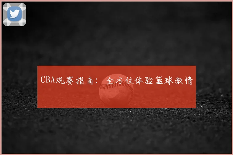CBA观赛指南:全方位体验篮球激情