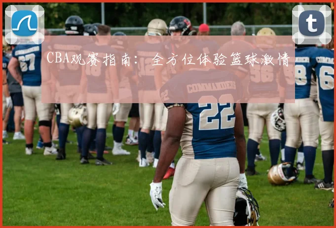 CBA观赛指南：全方位体验篮球激情